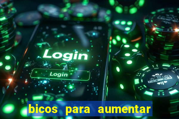 bicos para aumentar a renda